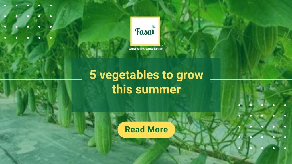 5 vegetables to grow this summer