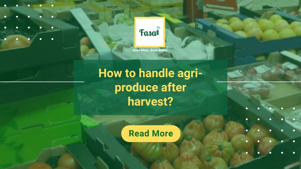 How to handle agri-produce after harvest?