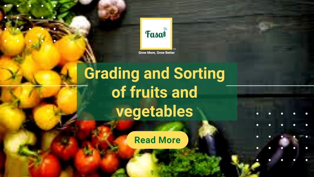 Grading and sorting of fruits and vegetables