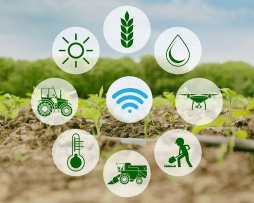 Digital technology in agriculture