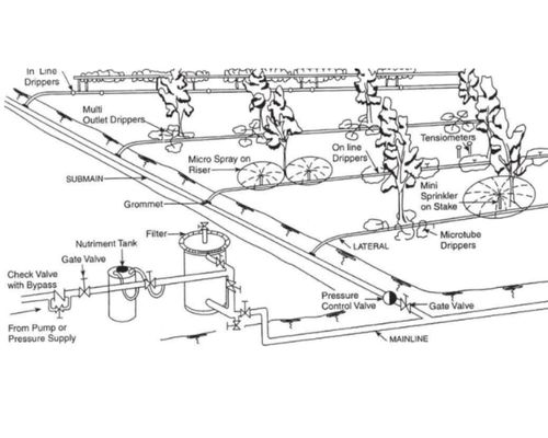 Diagram of drip irrigation system